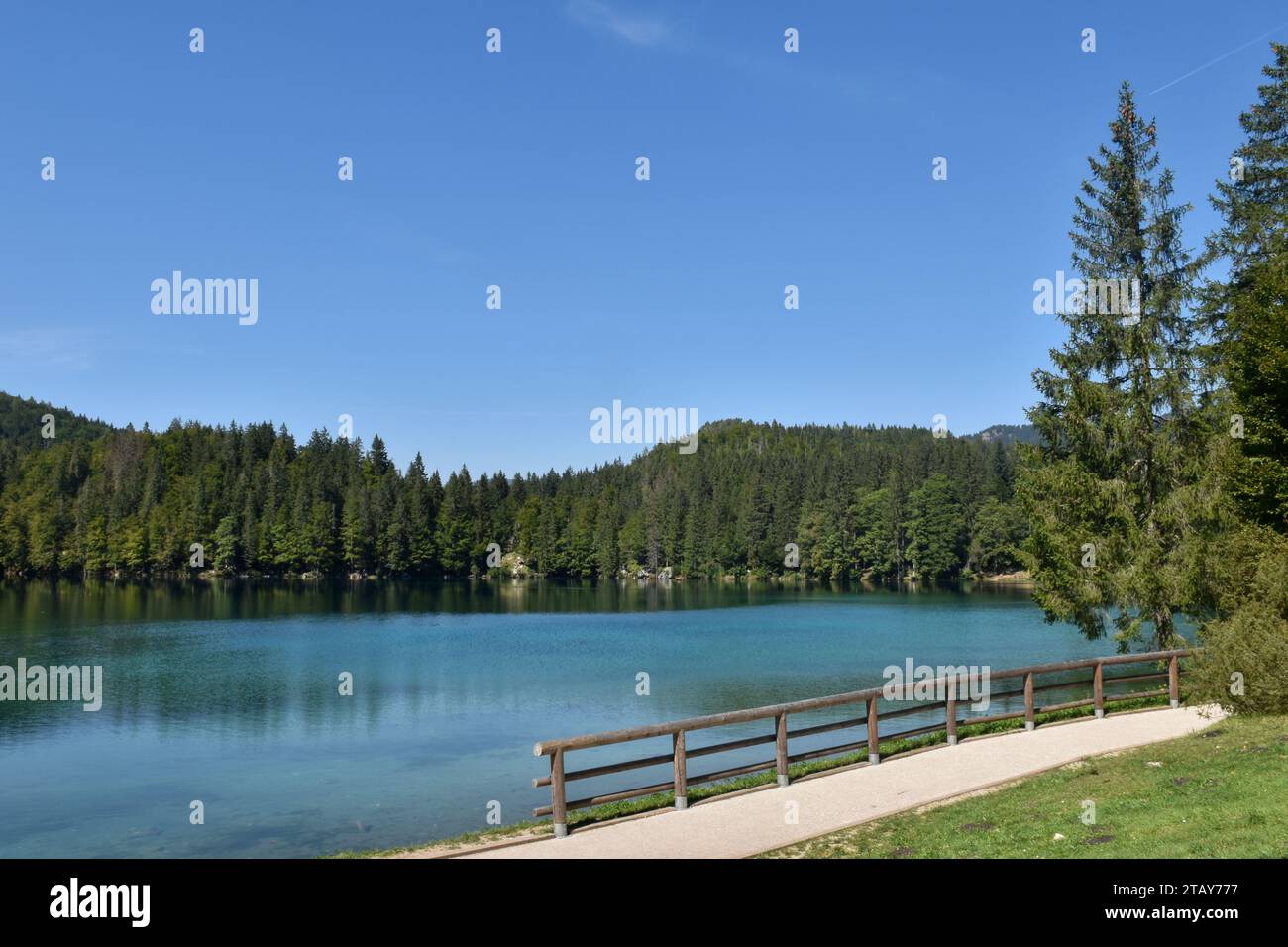 Ein hölzerner Zaun am Lago Inferiore di Fusine See, umgeben von Wald Stockfoto