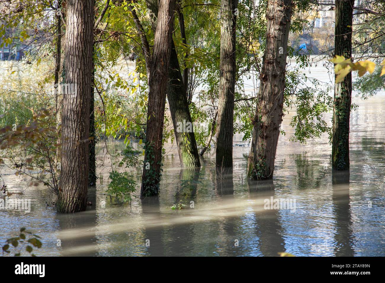 Der Rhône-Wert hat sich in Lyon, Frankreich, erhöht. Stockfoto