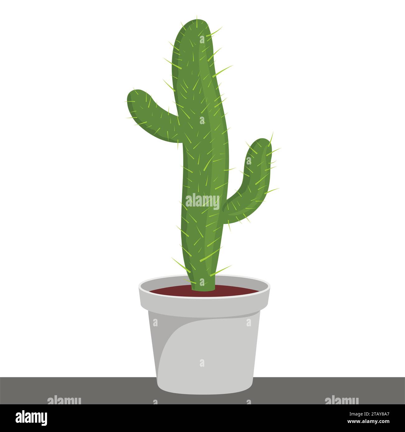 Kaktushauspflanze im Blumentopf. Kaktussymbol in flachem Stil auf weißem Hintergrund. Sukkulente Pflanze. Vektorabbildung Stock Vektor