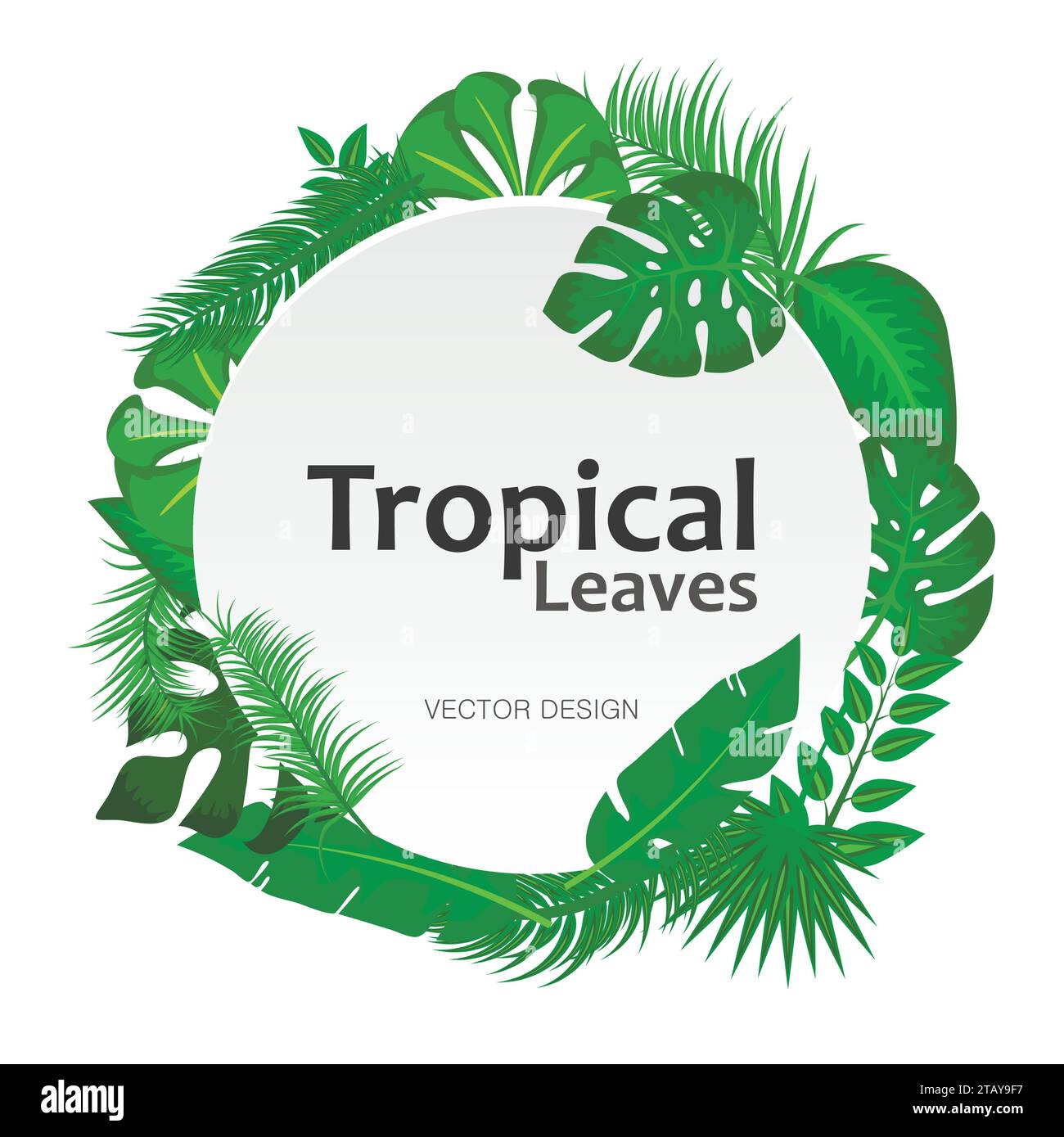 Tropische Blätter Hintergrund mit weißem runden Schild mit Textrahmen. Geeignet für Naturkonzept, Urlaub und Sommerurlaub. Stock Vektor