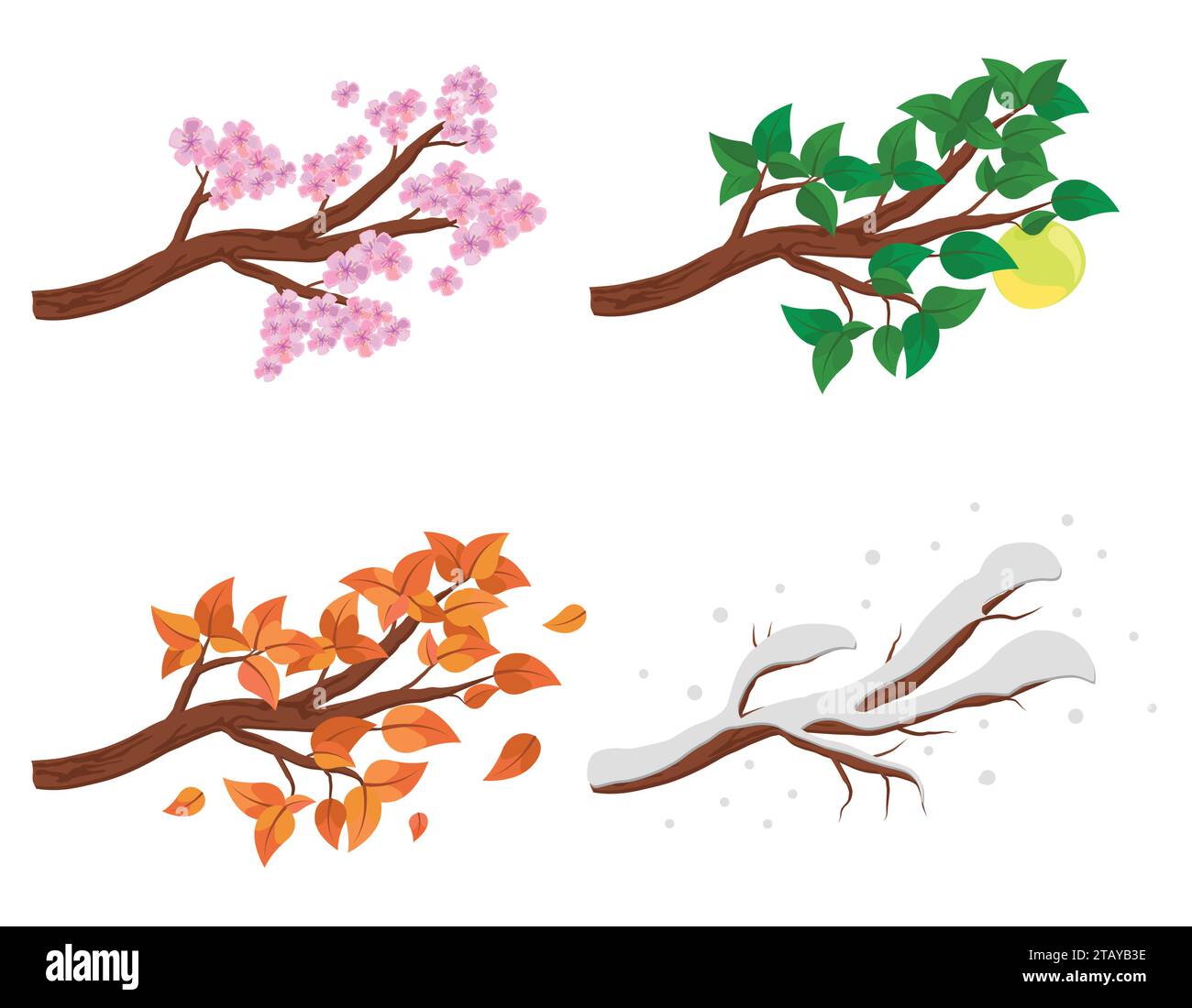 Zweig in vier Jahreszeiten - Frühling, Sommer, Herbst, Winter. Sammlung von Apfelbäumen isoliert auf weißem Hintergrund. Grüne und orangene Blätter, Blumen Stock Vektor