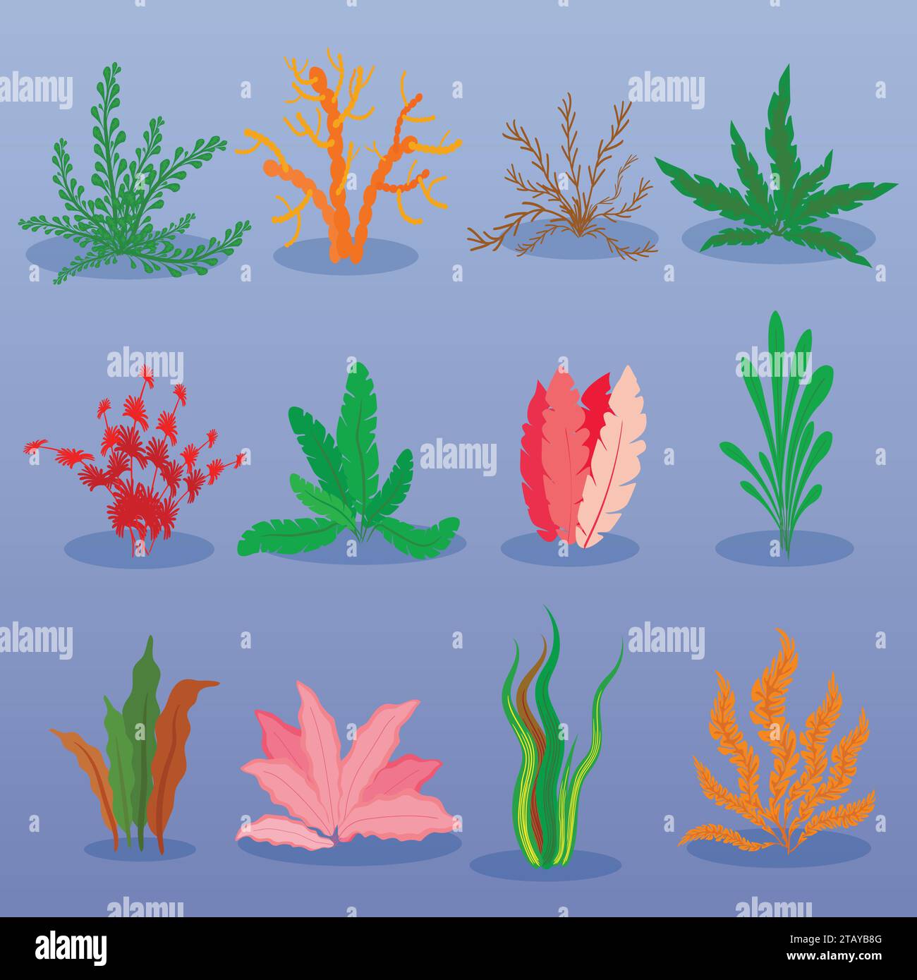 Unterwasser-Algen-Vektor auf blauem Hintergrund gesetzt. Meerespflanzen und Meeresalgen. Sammlung von Arten von Aquarienalgen. Vektorabbildung Stock Vektor