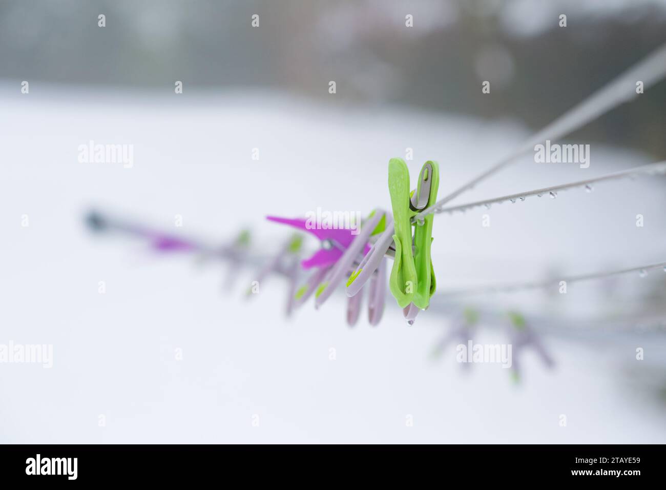 Reihe von Kunststofftüchern, die mit Wassertropfen und Schnee an der Tuchlinie befestigt sind. Stockfoto