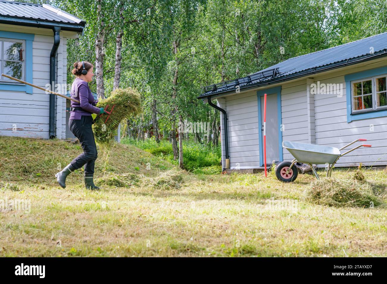 Reife Frauen tragen frisch geschnittenes Gras zur Gartenkarre - Sommergartenarbeit im Sommerhaus. Seitenfoto Stockfoto