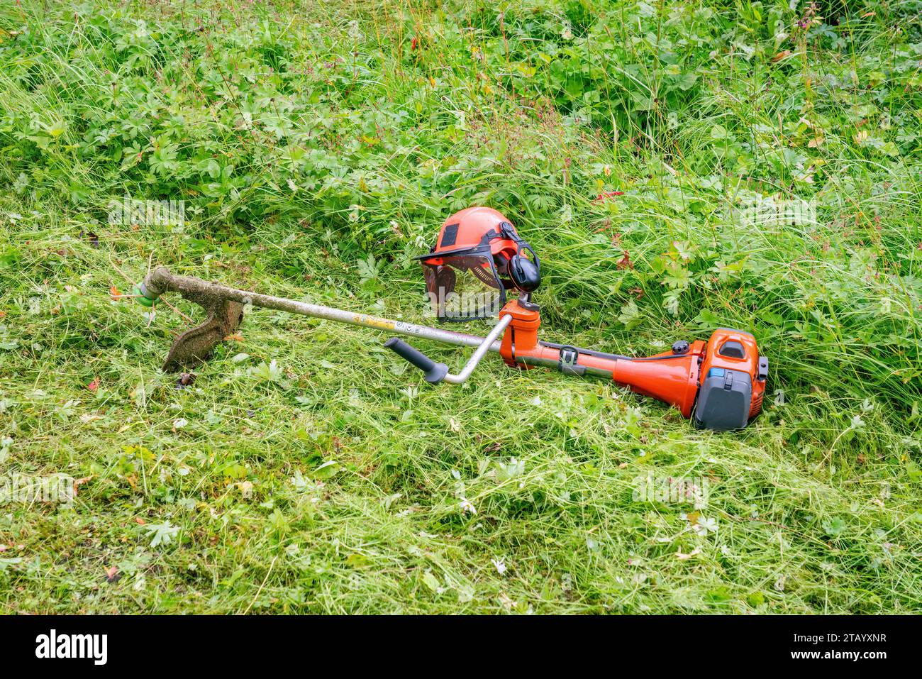 Orangefarbener Gasschnurtrimmer, Schutzhelm mit Augenschutz auf frisch getrimmtem Gras, Gartenhang, Nahansicht Stockfoto