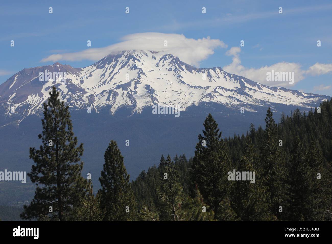 Mount shasta Stockfoto