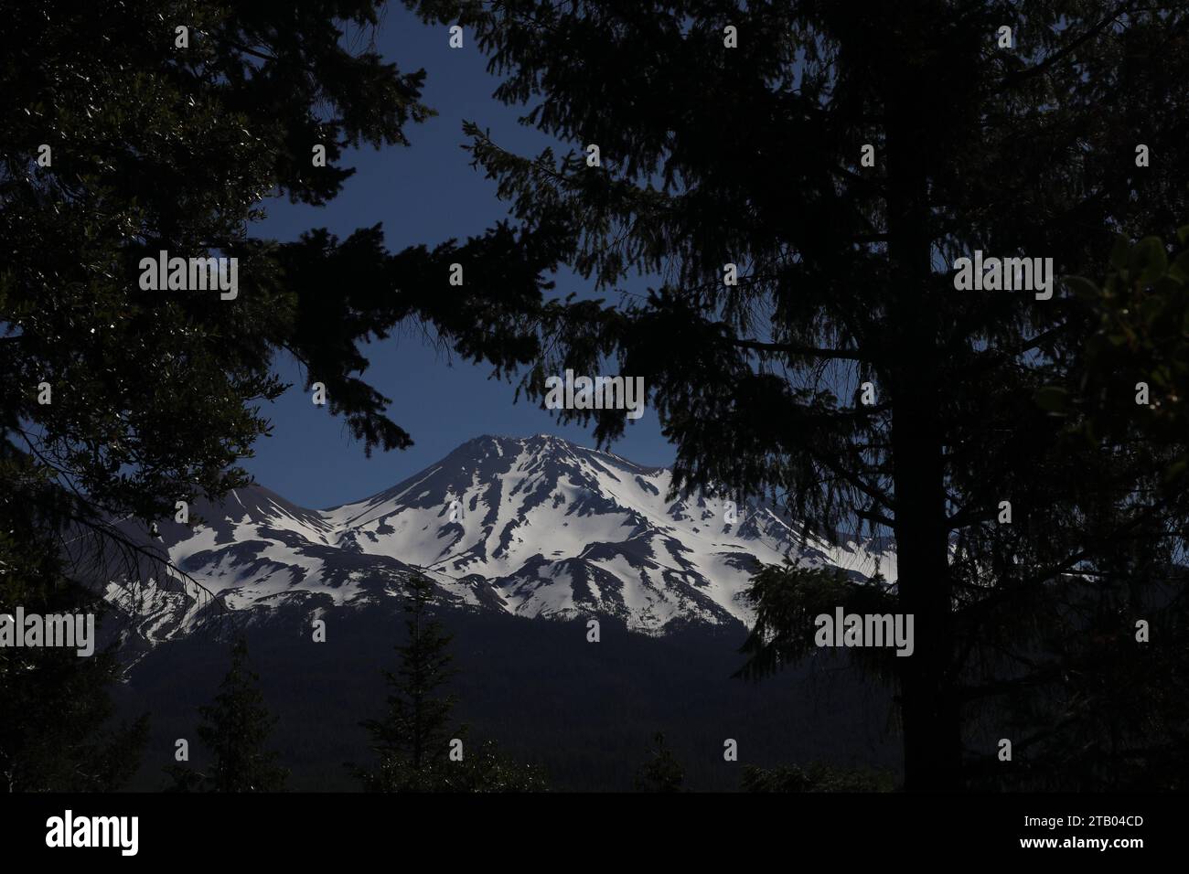 Mount shasta Stockfoto