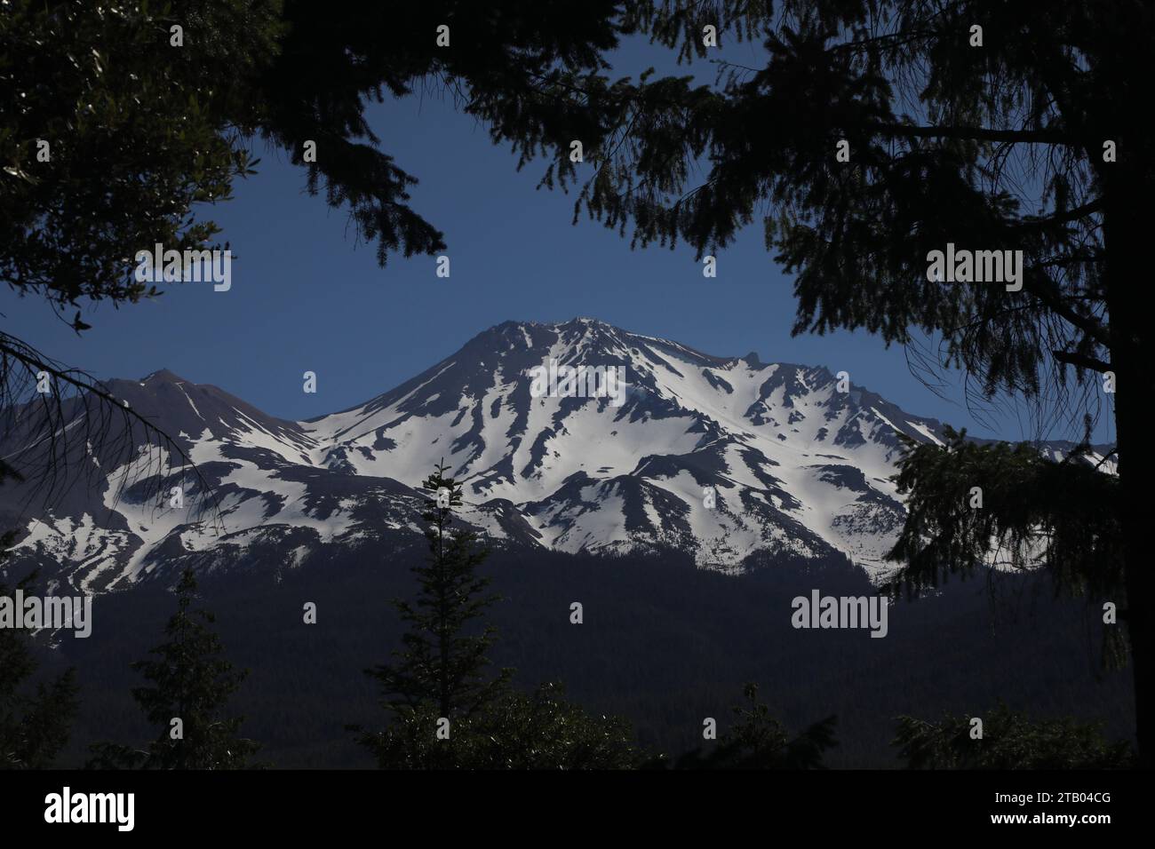Mount shasta Stockfoto