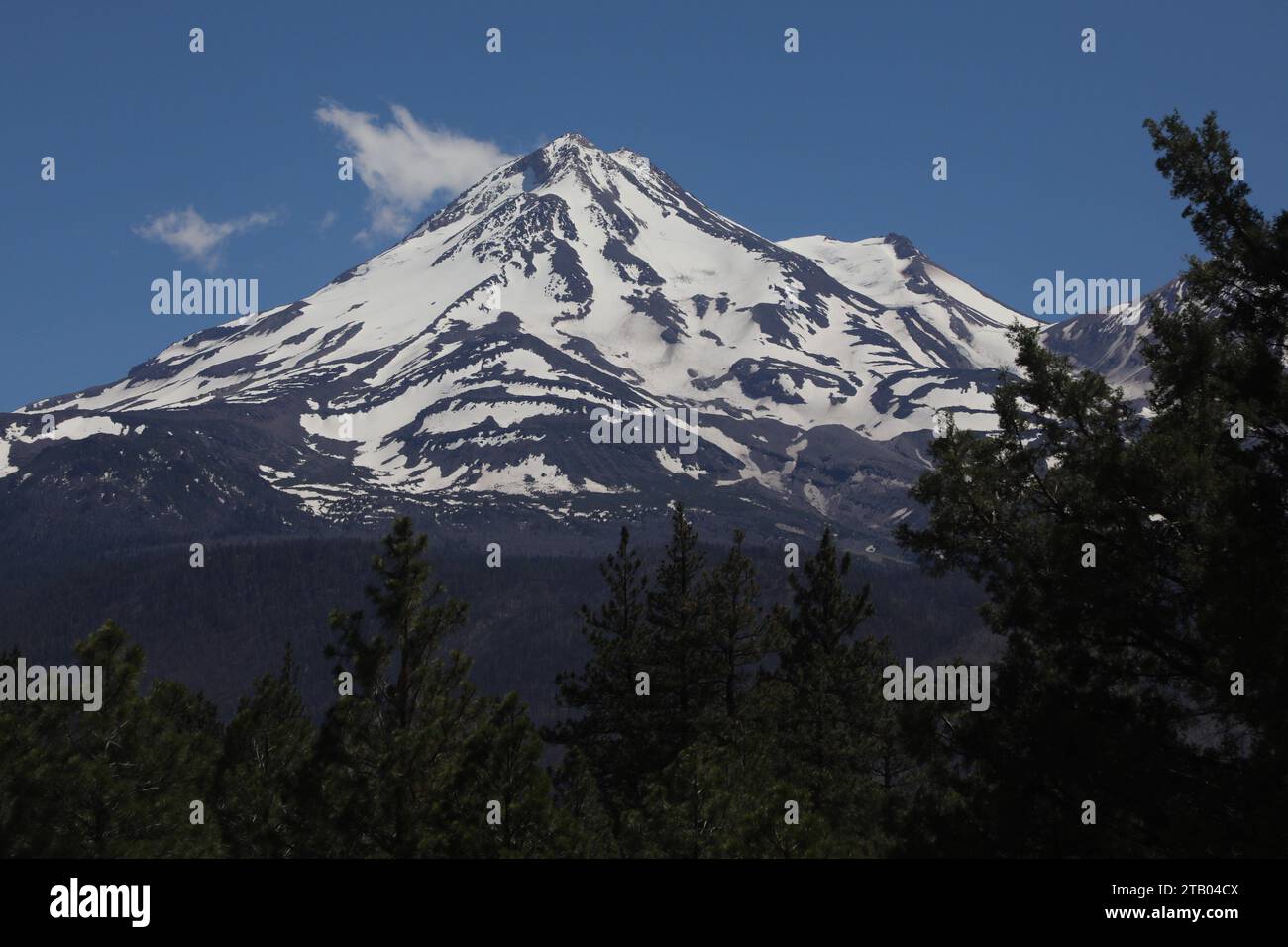Mount shasta Stockfoto