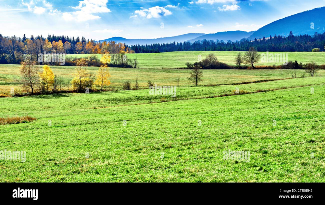 Große Landschaft in den Karpaten, Polen. Almwiesen. Stockfoto