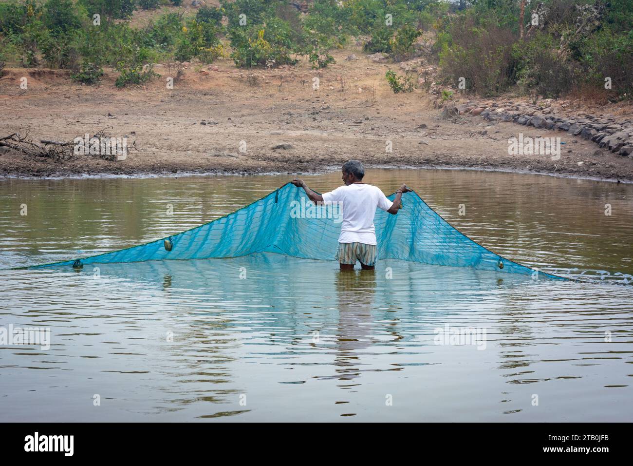 TIKAMGARH, MADHYA PRADESH, INDIEN - 21. AUGUST 2023: Ein Mann, der in einem Netz in einem kleinen See Fische fängt. Stockfoto