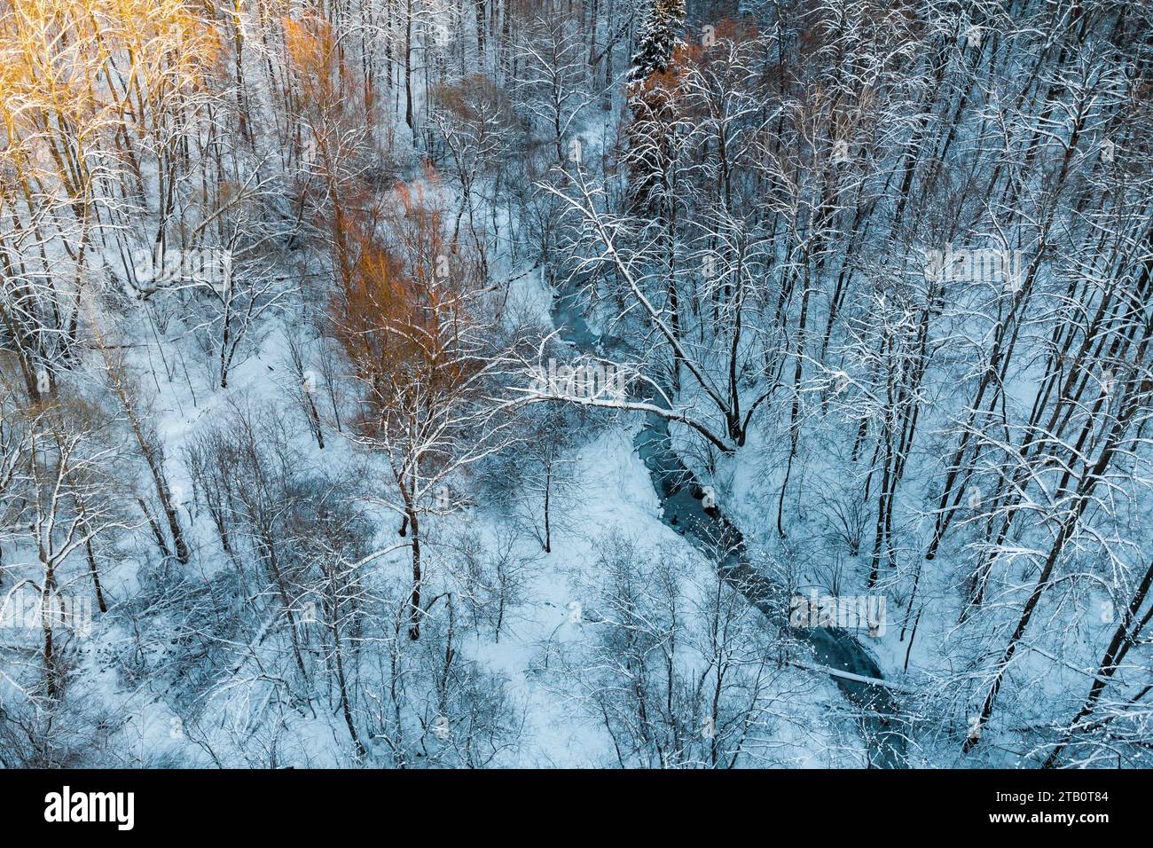 Winterlandschaft mit einem Bach, der durch einen verschneiten Wald fließt Stockfoto