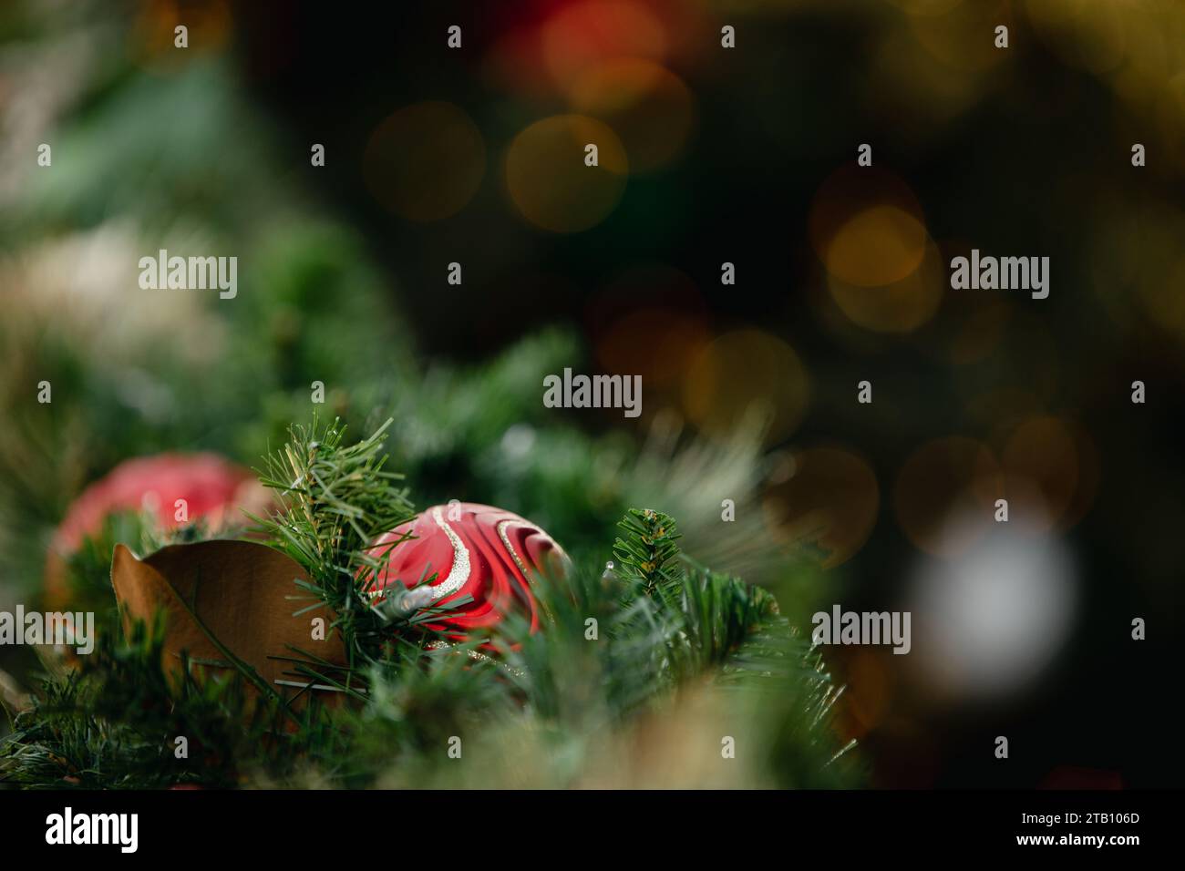 Weihnachtliche Hintergründe - grüne tannenbäume, goldene Ornamente, Lichterketten. Stockfoto