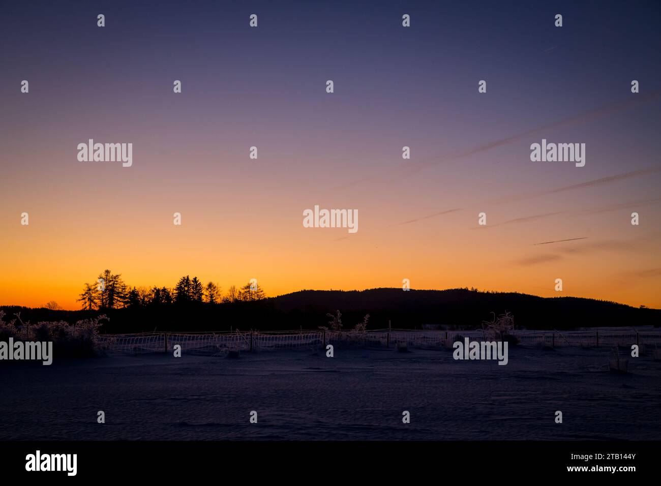 Winterlandschaft bei Sonnenaufgang, Waldviertel, Österreich, Europa Stockfoto