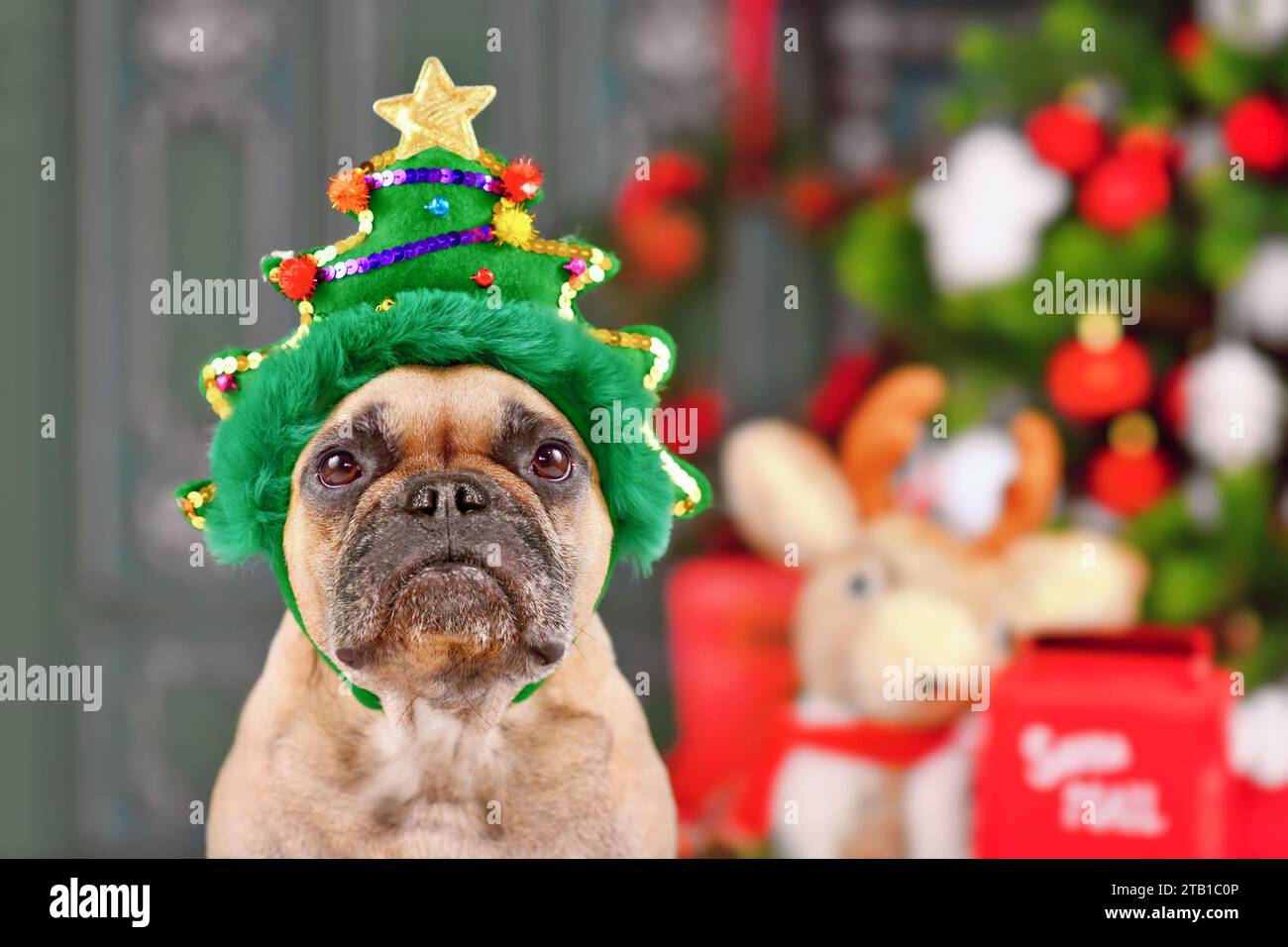 Französischer Bulldog-Hund mit lustigem Weihnachtsbaum-Haarreif Stockfoto