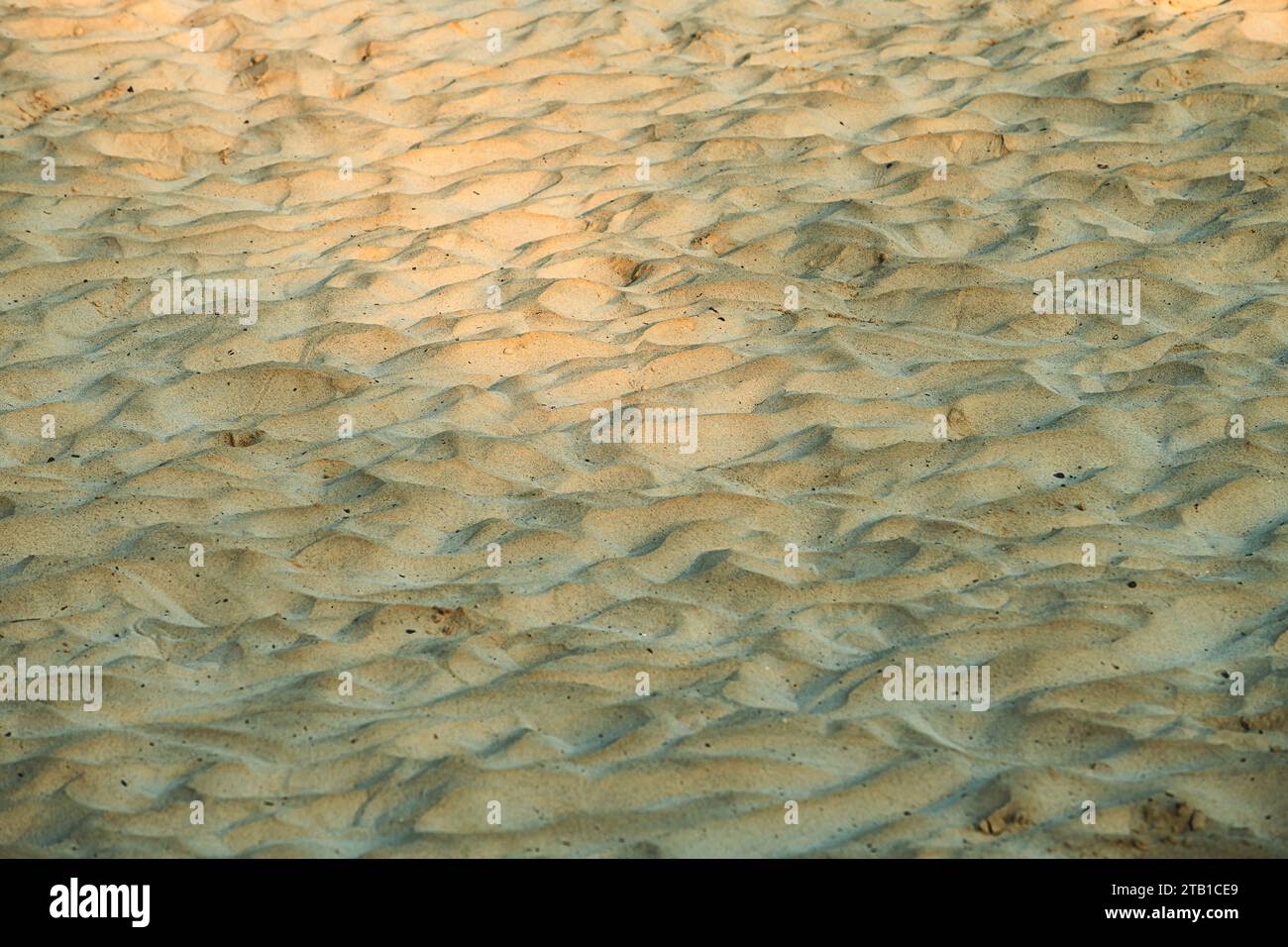 Textur schmutziger Sandoberfläche als Hintergrund, selektiver Fokus Stockfoto