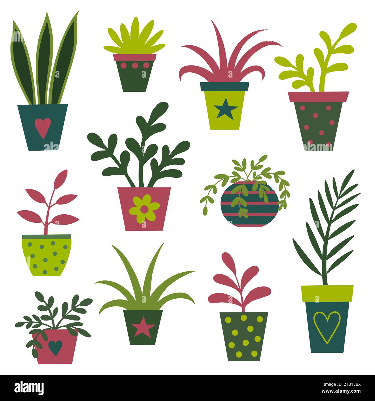 Auswahl an Hauspflanzen in dekorativen Pflanztöpfen. Verschiedene Blätter und Farben. Schlauchpflanzen in hübschen Töpfen. Modernes Design im Cartoon-Stil. Stockfoto