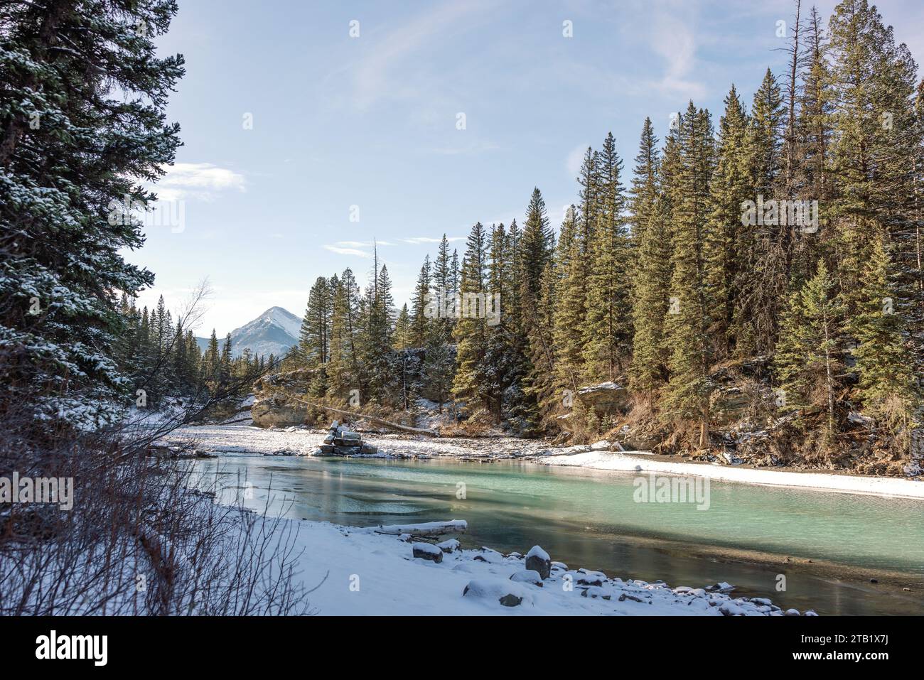 Winterszene mit friedlichen Fluss- und Kiefernbäumen in Canmore, Alberta Stockfoto