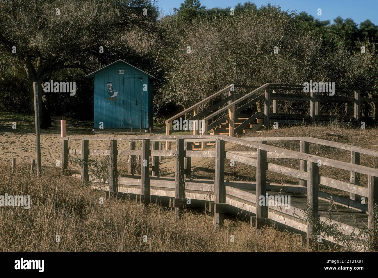 Eingang zum Wood Beach (Punta Marina, Italien) Stockfoto