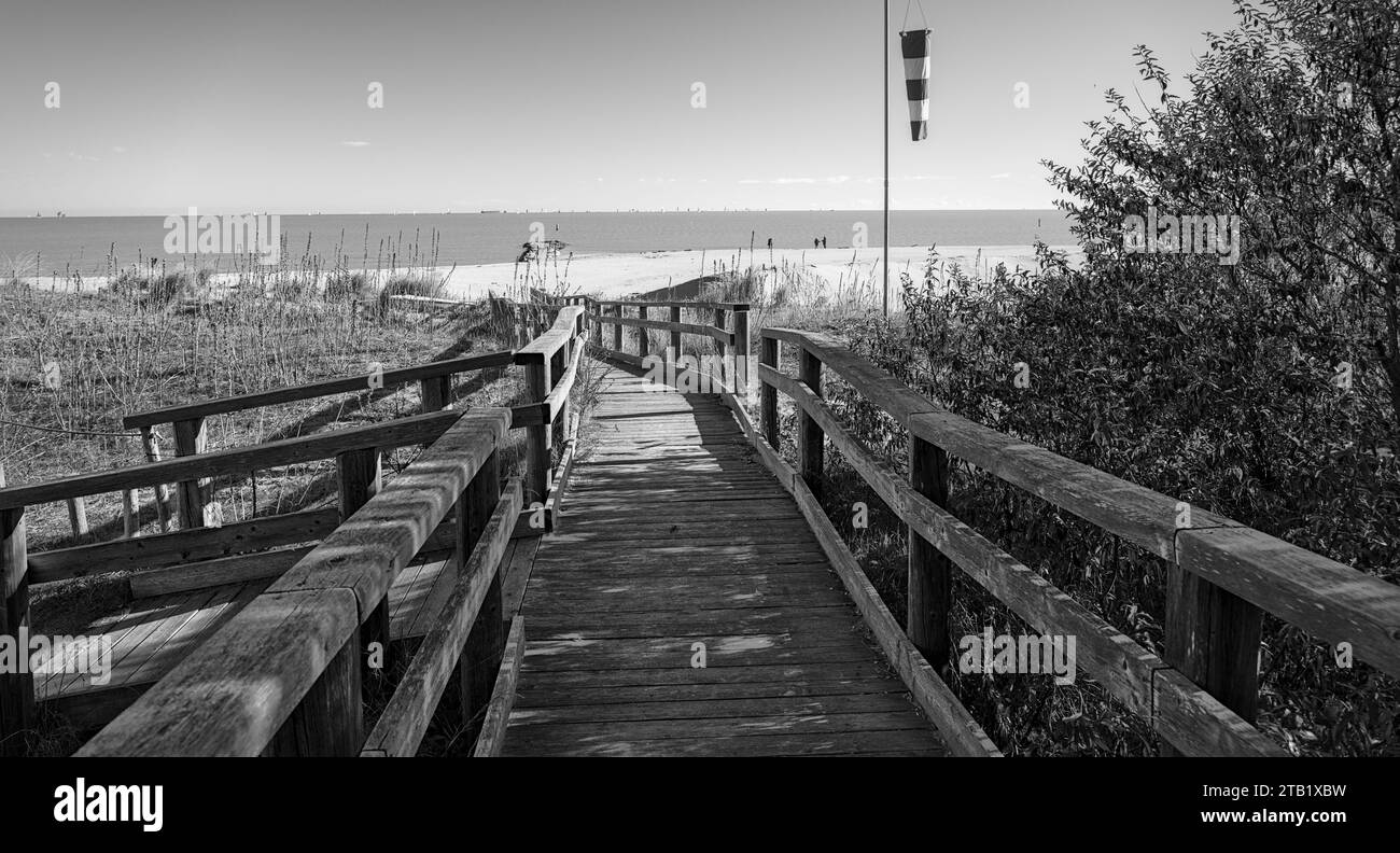 Eingang zum Wood Beach (Punta Marina, Italien) Stockfoto