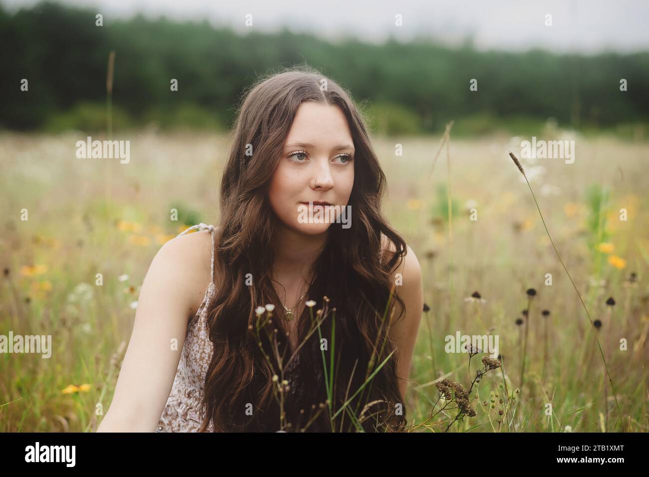 Ein junges Mädchen mit langen braunen Haaren, das im Sommer auf dem Blumenfeld sitzt Stockfoto