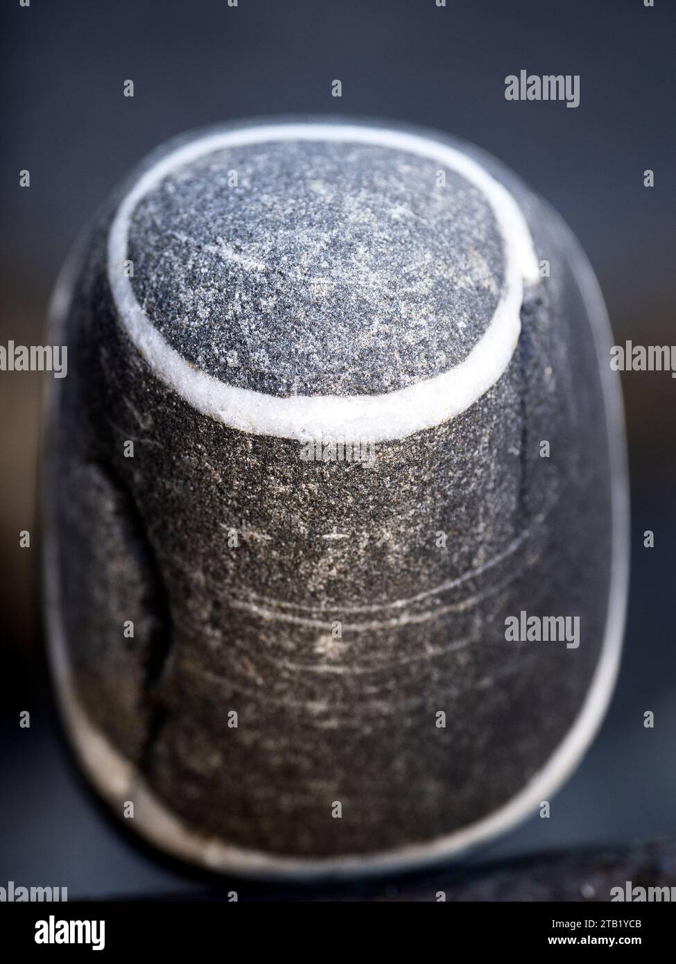 Ein glatter, grauer, eiförmiger Granitstein Stockfoto
