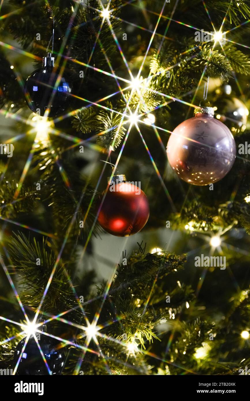 weihnachtsbäume, Lichter und Ornamente Stockfoto