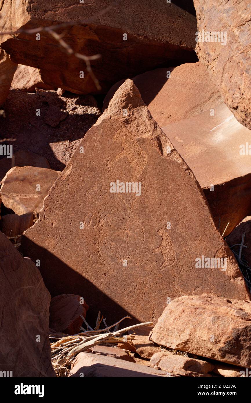 Felsgravuren in der Nähe von Twyfelfontein Namibia Stockfoto