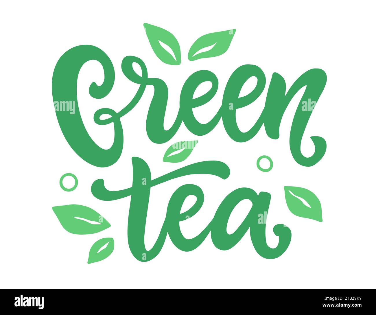 Logo Mit Grünem Tee. Handgeschriebene Schrift Stock Vektor