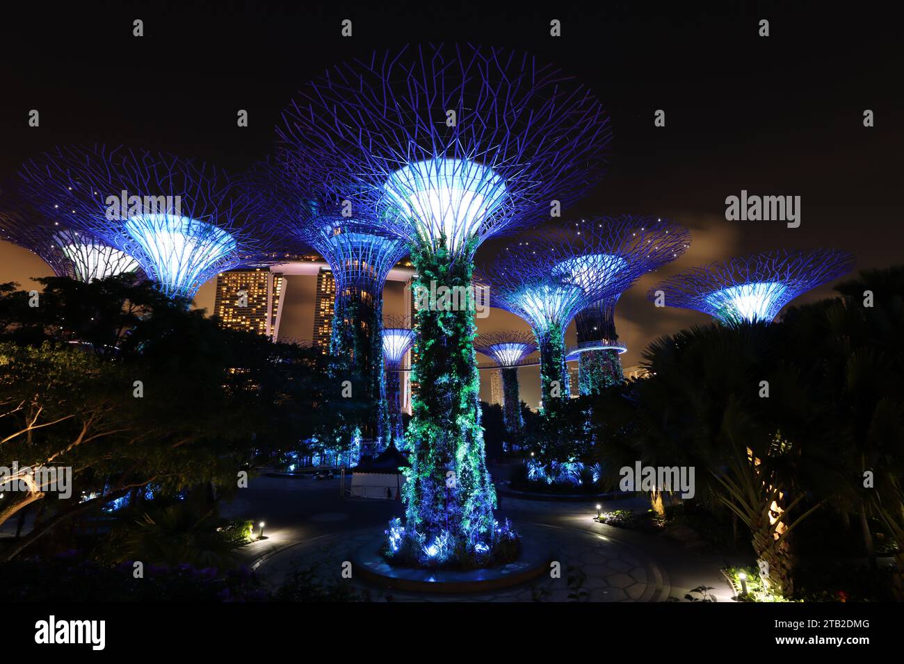 Marina Bay Sands Superbäume Stockfoto