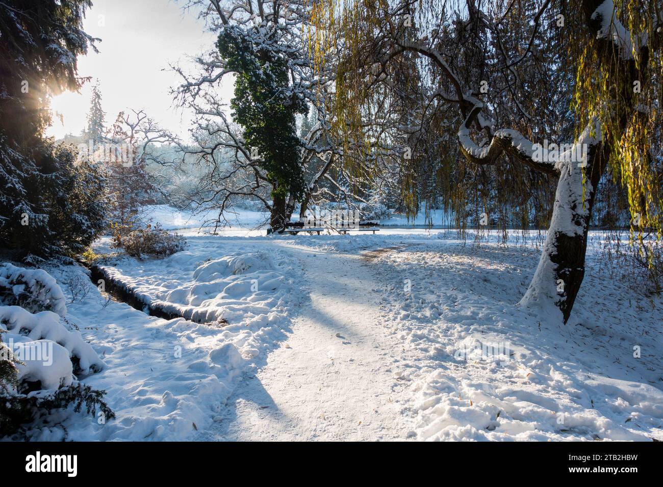 Die winterliche schneebedeckte Landschaft des Pruhonice Parks am Stadtrand von Prag, Tschechische Republik, 4. Dezember 2023. (CTK Foto/Libor Sojka) Stockfoto