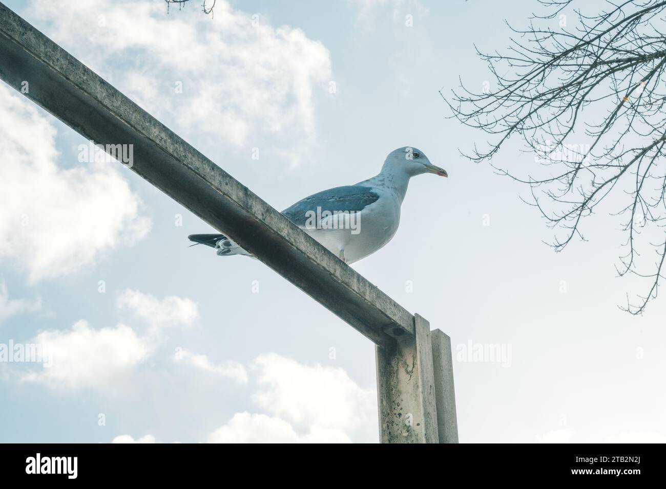 Wunderschöne Aussicht dort oben Stockfoto