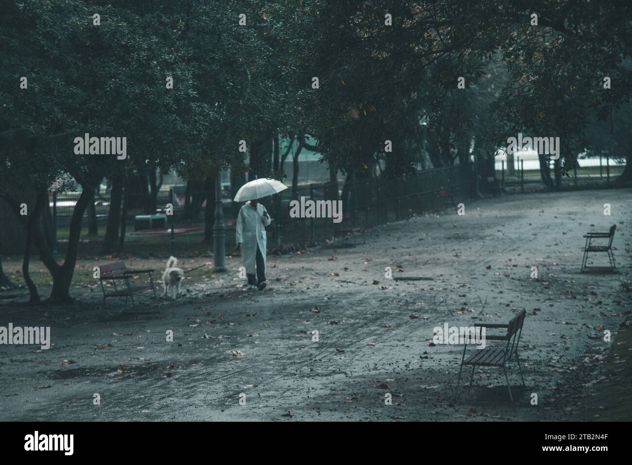 Eine Dame mit einem Hund, der im Park die Rode hinunterläuft Stockfoto