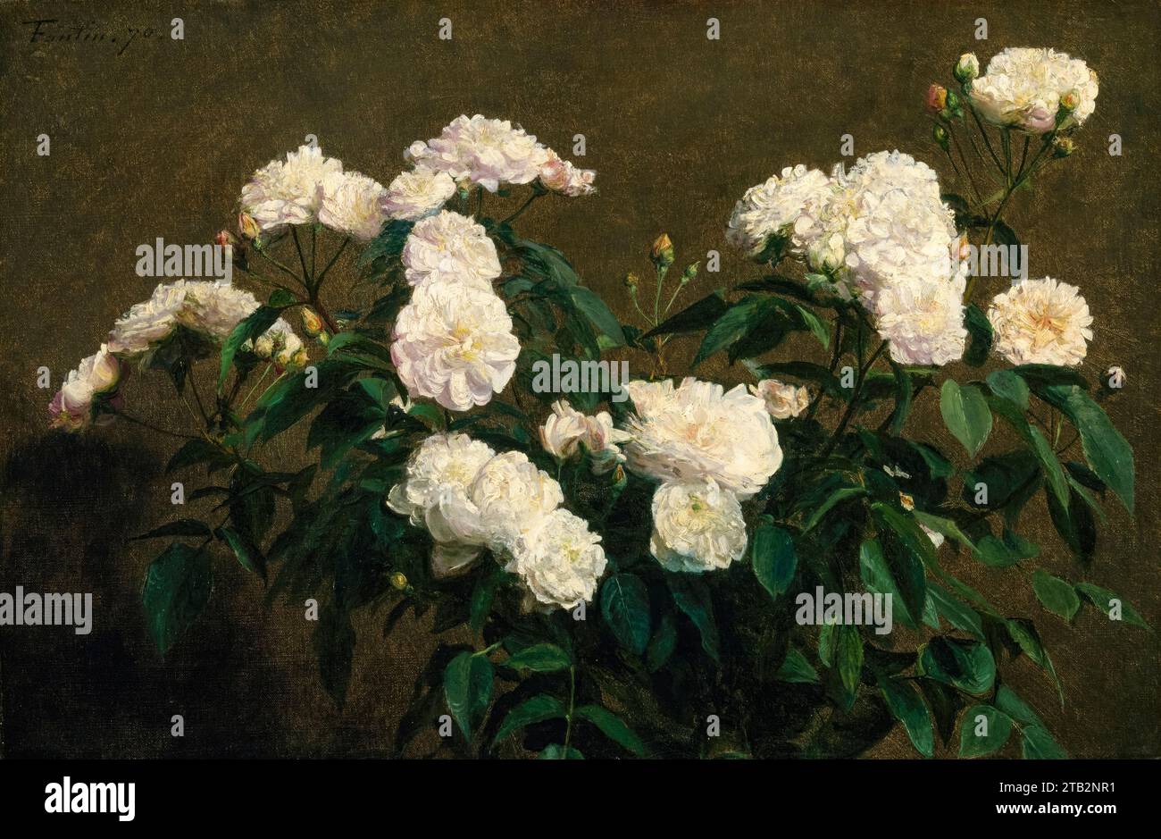 Henri Fantin-Latour, Stillleben der Weißen Rosen, Ölgemälde auf Leinwand, 1870 Stockfoto