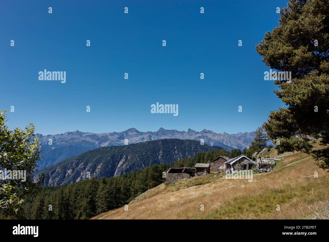 Weidewiesen mit Hirtenhütten und Kuhställen und Bergen im Hintergrund (Ayas-Tal, Aostatal, Italien). Stockfoto