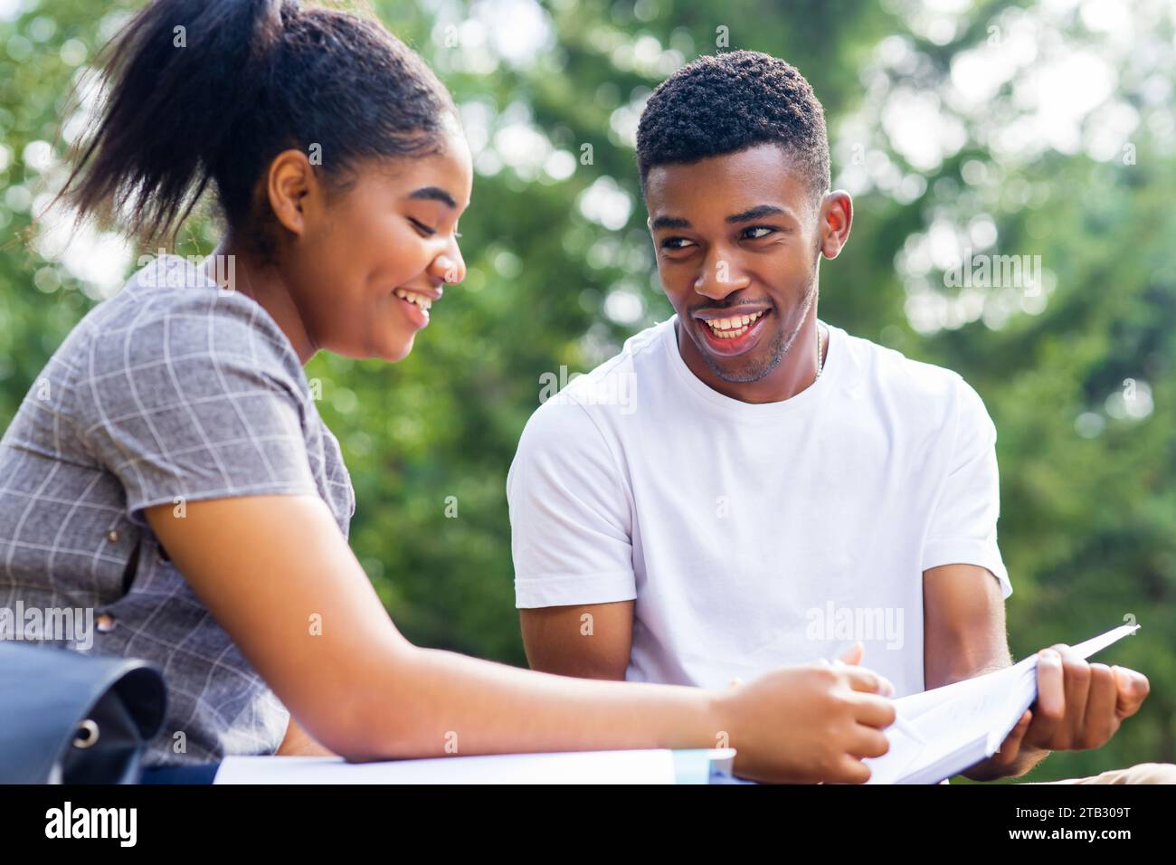 afroamerikanische Freunde teilen ihr Wissen auf dem Universitätscampus an sonnigen Tagen im Park Stockfoto