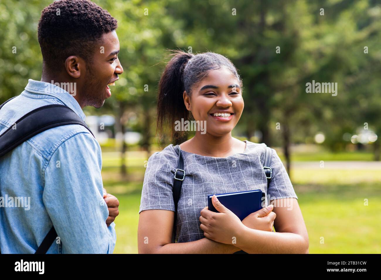 afroamerikanische Freunde teilen ihr Wissen auf dem Universitätscampus an sonnigen Tagen im Park Stockfoto