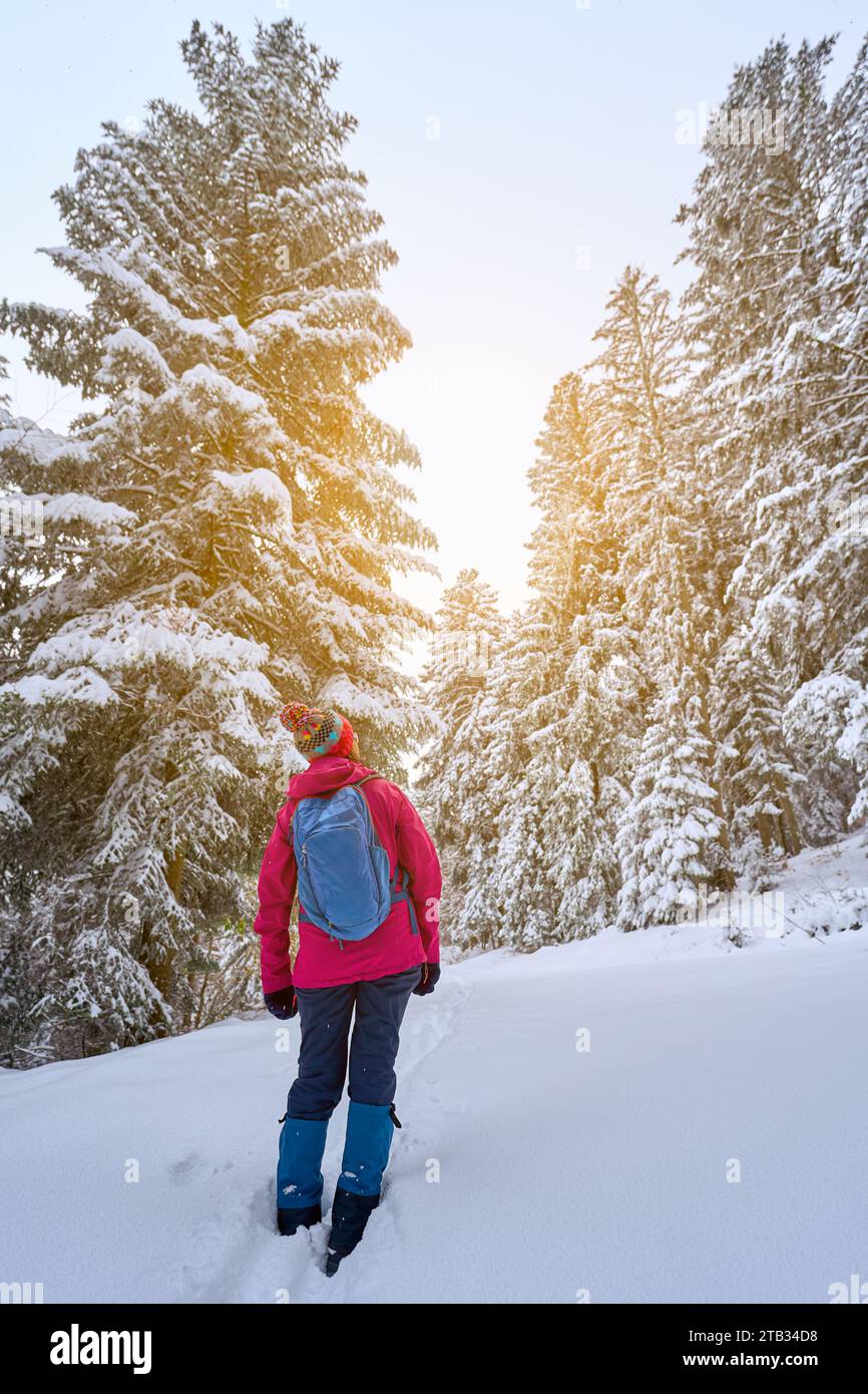 Nette Seniorin beim Wandern in einer Winterlandschaft bei fallendem Schnee in den Bregenzer waldalpen, bei Sulzberg, Vorarlberg, Österreich Stockfoto