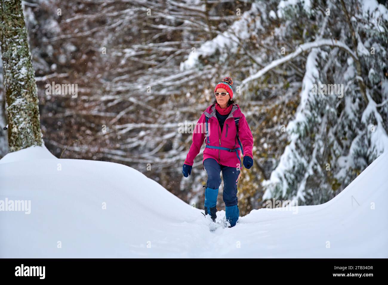 Nette Seniorin beim Wandern in einer Winterlandschaft bei fallendem Schnee in den Bregenzer waldalpen, bei Sulzberg, Vorarlberg, Österreich Stockfoto