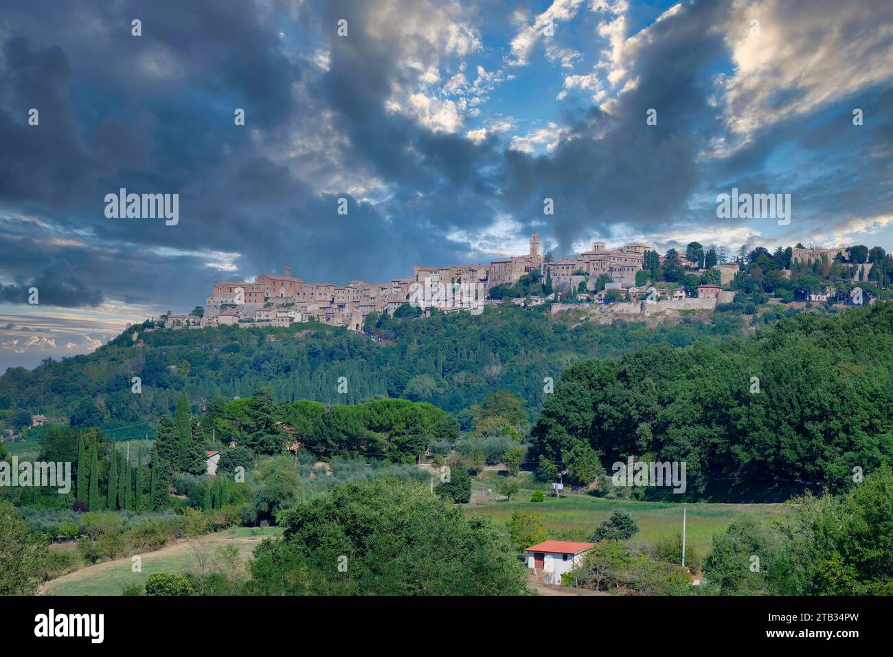 Blick auf das Dorf Montepulciano auf einem Hügel mit Olivenbäumen an den Hängen, Toskana, Italien Stockfoto