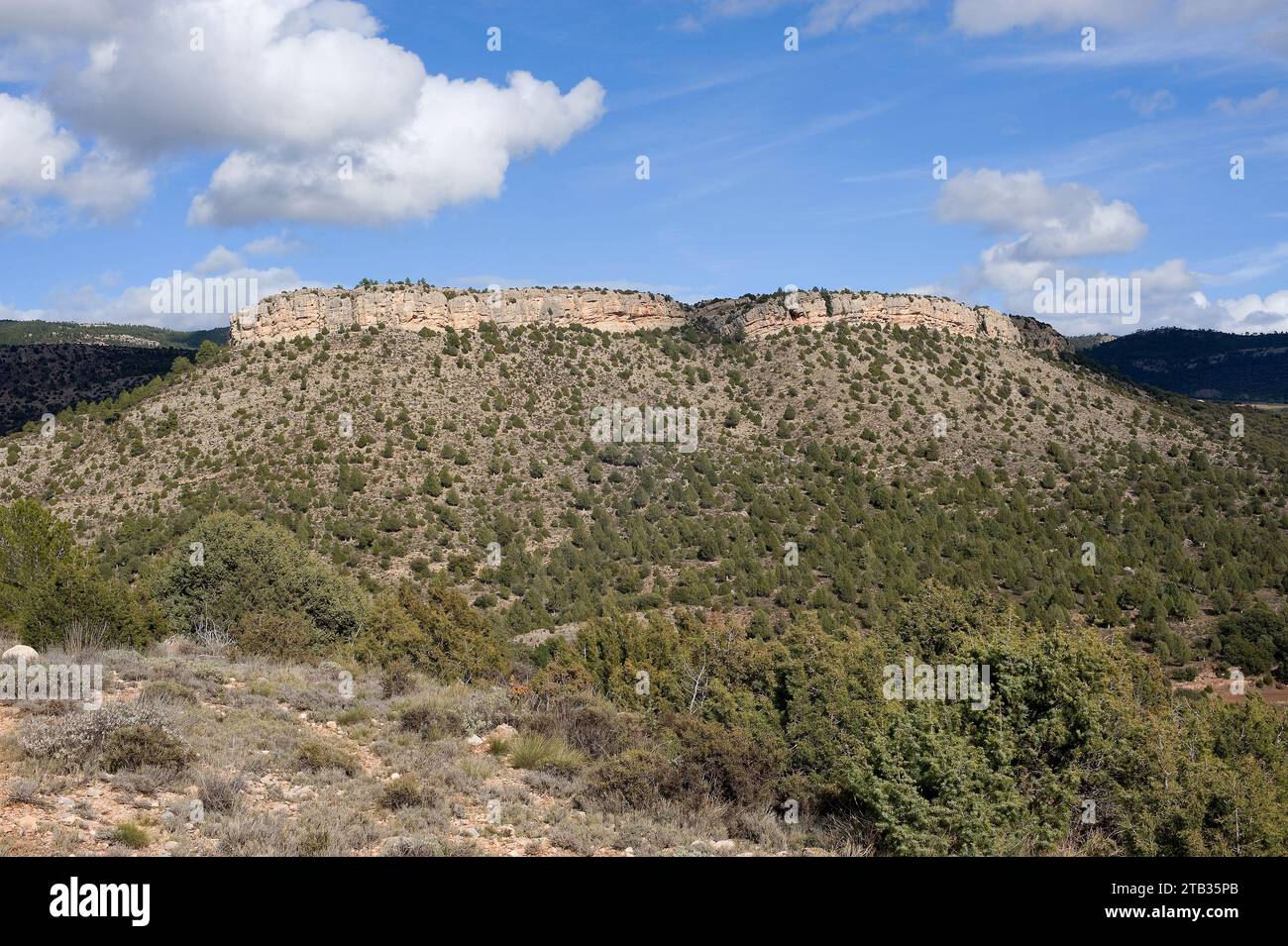 Sierra de Gudar. Gudar-Javalambre Region, Teruel Provinz, Aragon, Spanien. Stockfoto
