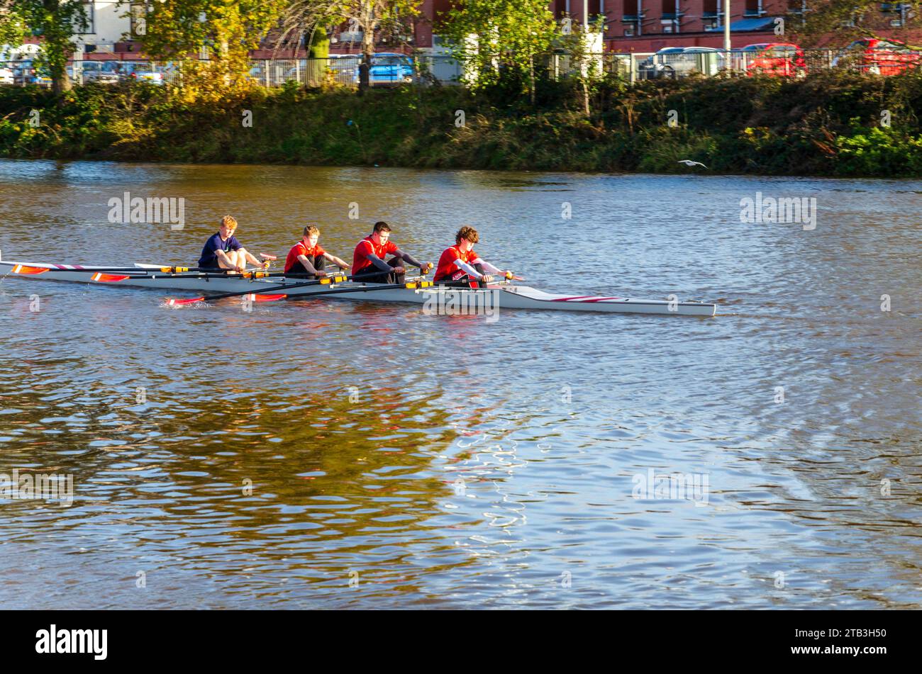 Belfast County Down Northern Ireland, 18. November 2023 – vier Skulls rudern auf dem Fluss Lagan Stockfoto