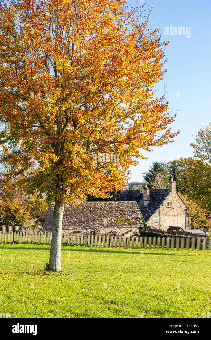 Herbstfarben im Dorf Cotswold Yanworth, Gloucestershire, England, Großbritannien Stockfoto