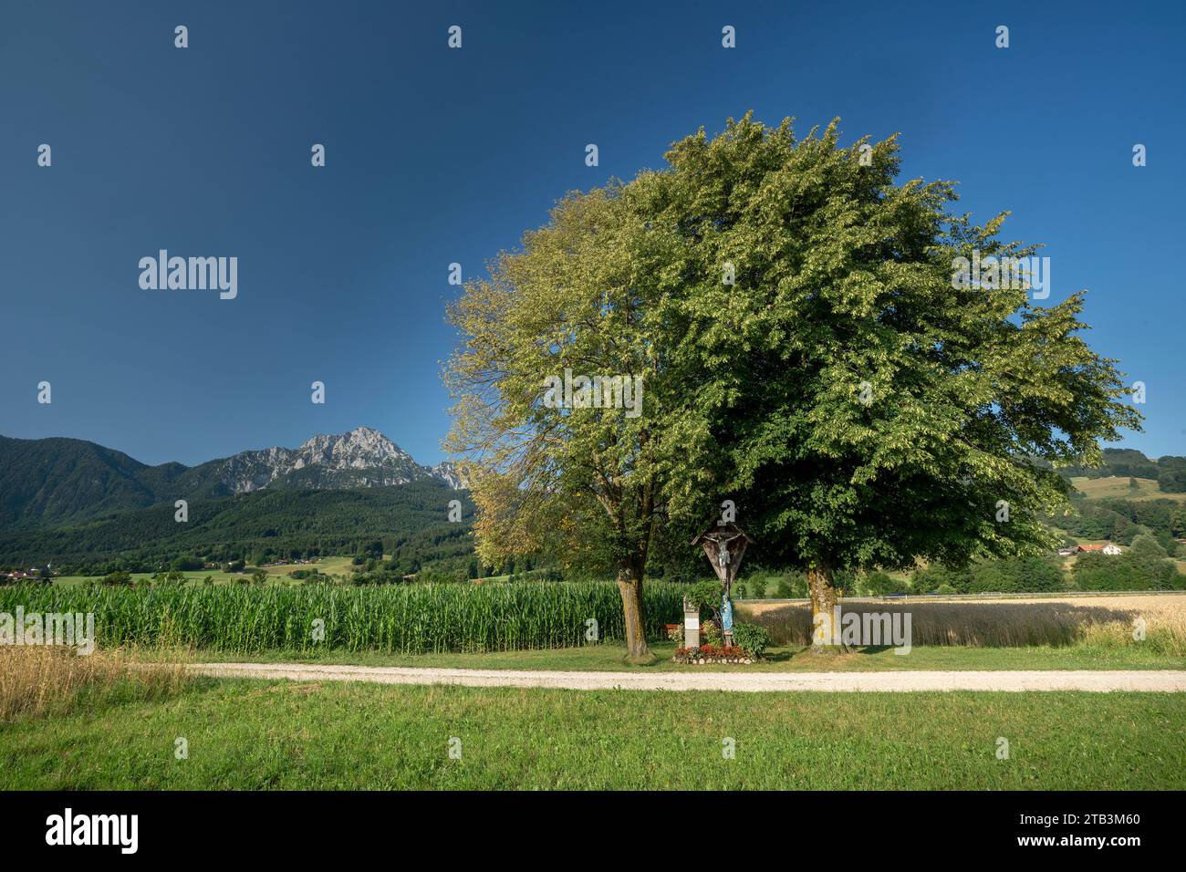 das Wegkreuz auf dem Weg von Anger nach Aufham am 'Mitterweg' , Rupertiwinkel, Berchtesgadener Land, Bayern, Deutschland Stockfoto