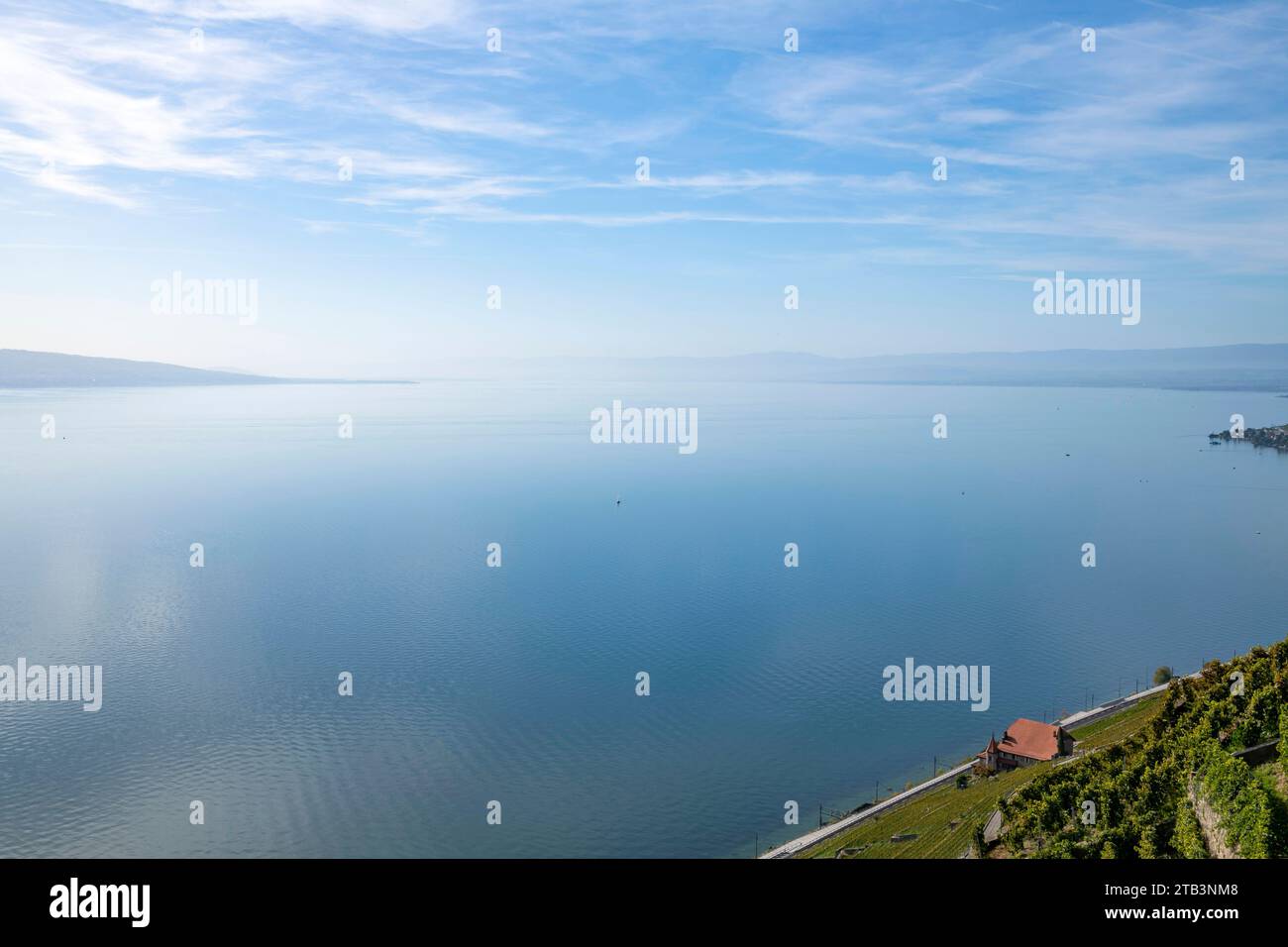 Suisse, Schweiz, Waadt, Schweiz, Waadt, Lavaux, UNESCO, Vignoble, Weinberg, Weinberg, Lac Léman, Genfer See, Genfer See, Panorama Stockfoto