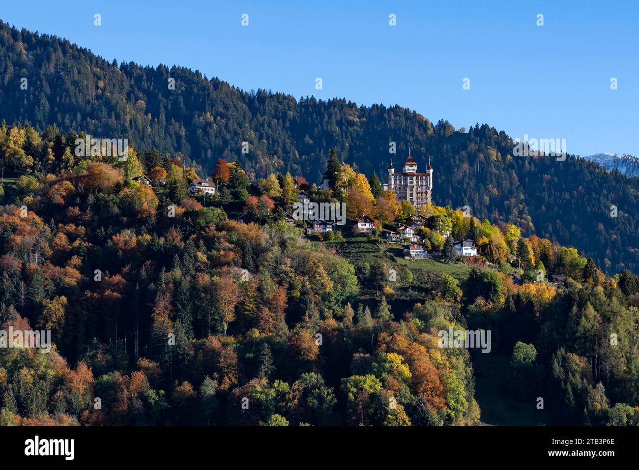 Suisse, Schweiz, Waadt, Schweiz, Waadt, Montreux, Caux, Caux Palace, montagne, montagnes, Berg, Berge, Berg, Berge, montagnes, Forêt, forêt Stockfoto