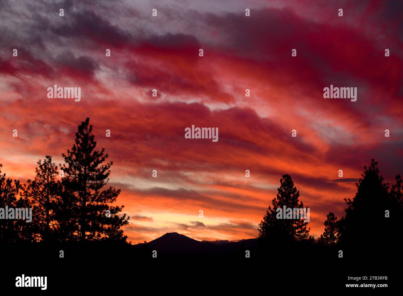 USA, Oregon, Central, Bend, Rancho las Herbas, Mount Bachelor, Sonnenuntergang, Stockfoto