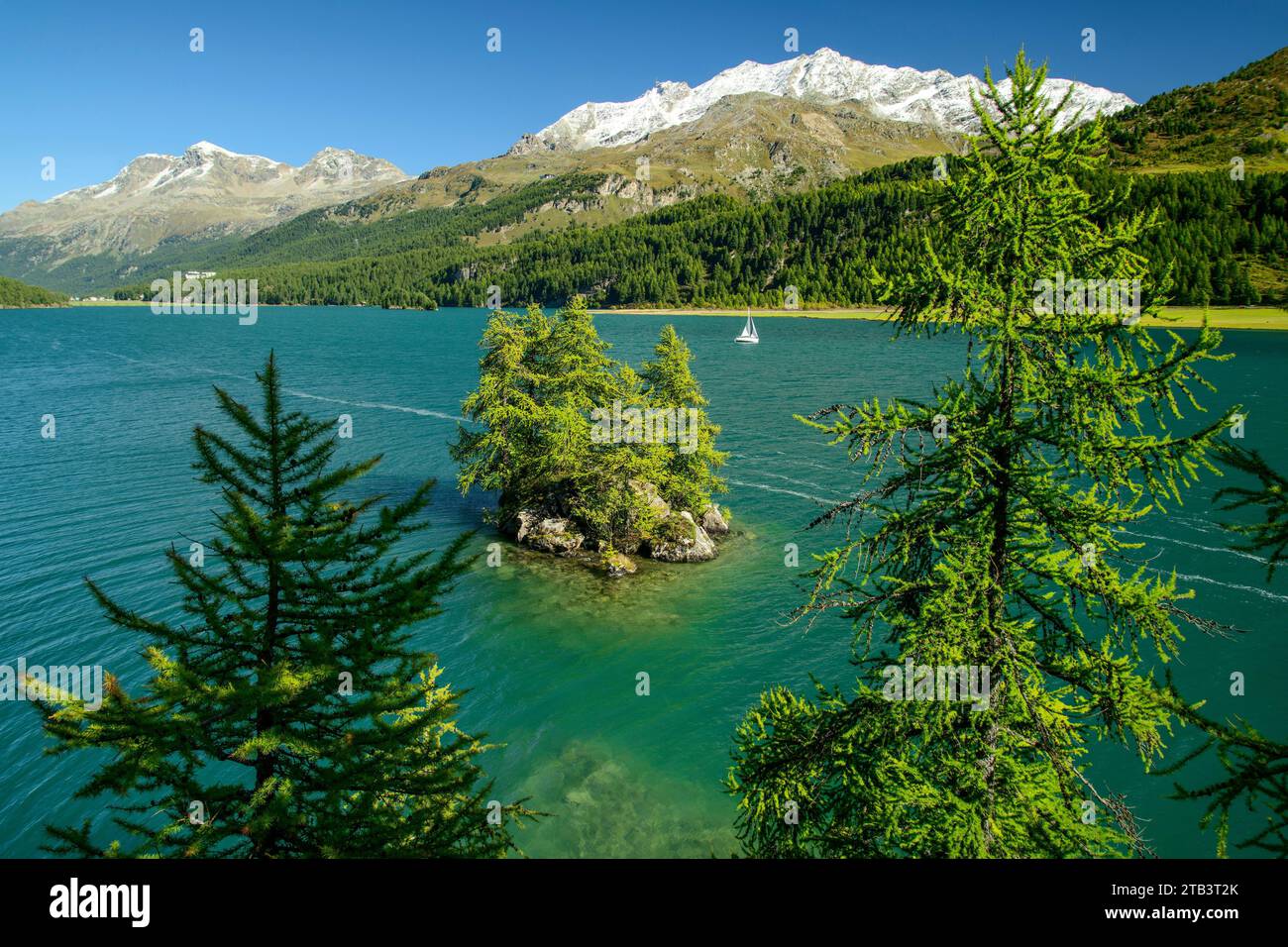 Schweiz, Graubünden, Engadin, Silsersee Stockfoto