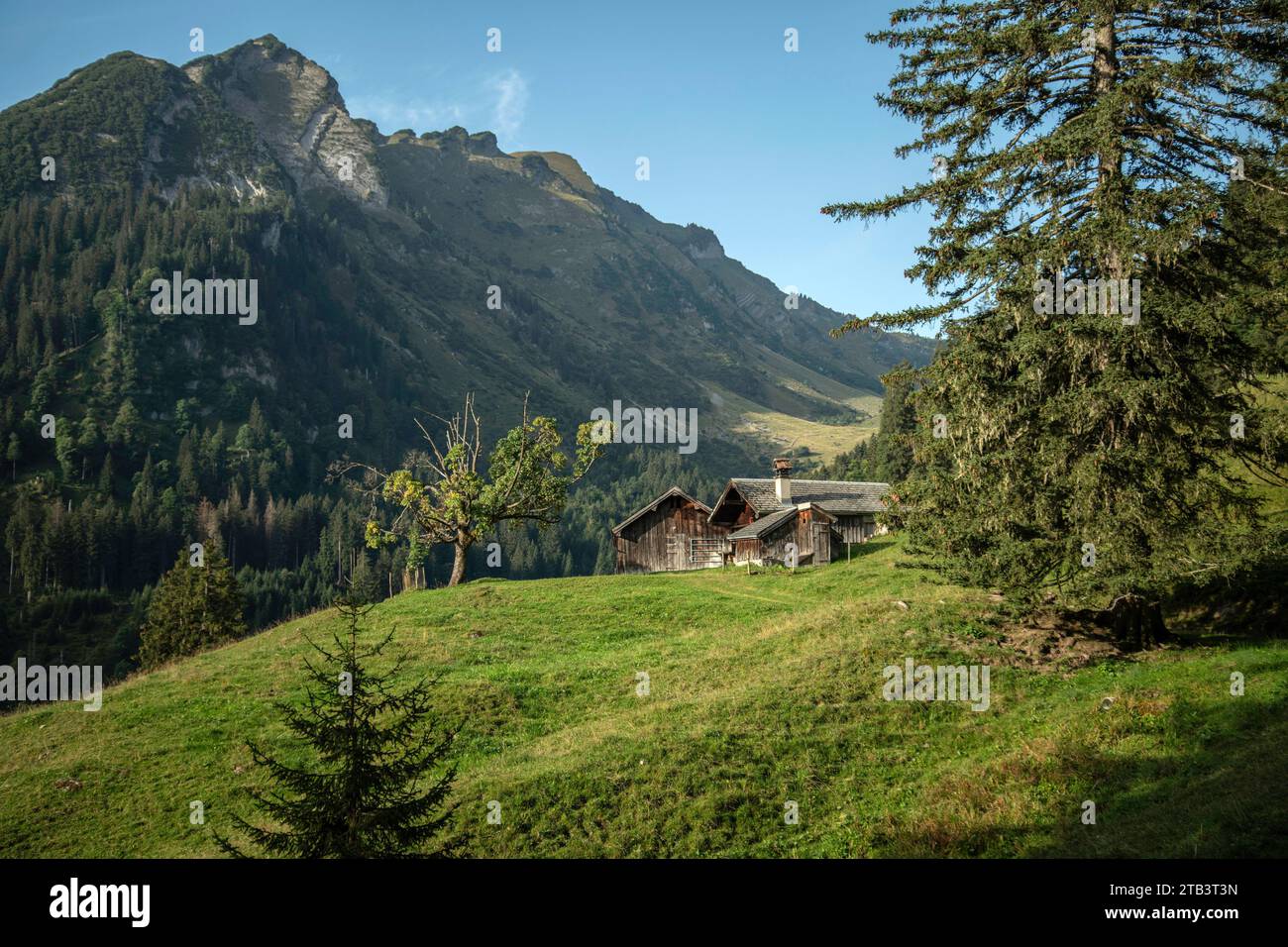Schweiz, St.Gallen, Grabs, Voralp, alpen Stockfoto