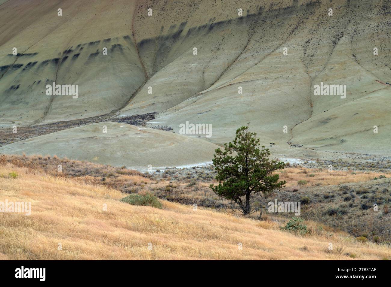 USA, Oregon, Painted Hills, National Monument Stockfoto